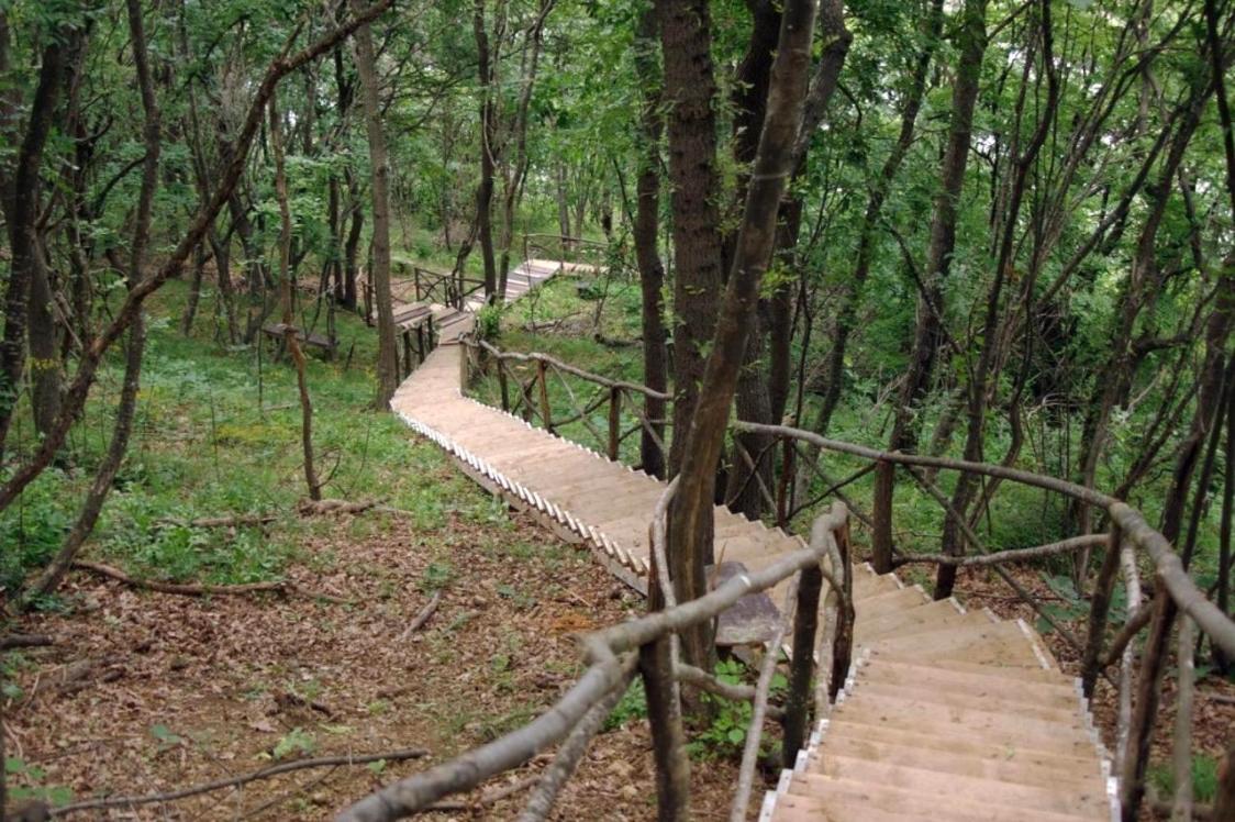 Crosswaybg Daire Obzor Dış mekan fotoğraf
